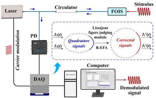 電氣工程學院集成電路學院本科生以第一作者在光纖傳感領域發表系列高水平論文